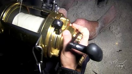 Giant Shark defeats Two Experienced Fisherman