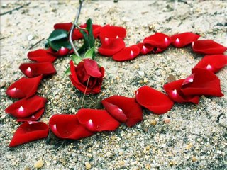 friends lover Must watch it Happy birth day my dear jiya