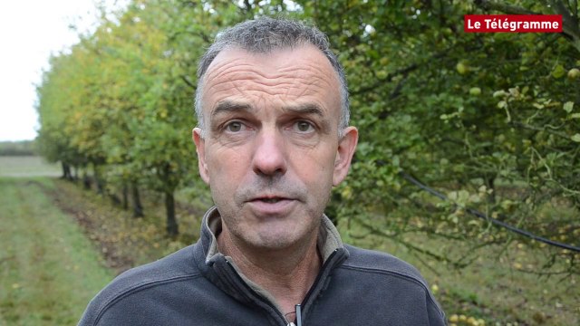 Pays de Vannes. Le cidre dans tous ses états. La Cidrerie Nicol