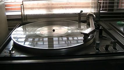 lungyim~Garrard Model-95B ( 4 )