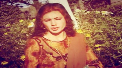 Nazia Iqbal - Da Ta Che Za Musafare La