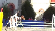 vico des flagues, poney 1D, lamballe 11 / 10 / 2014