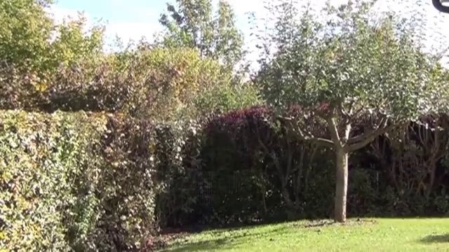 Dijon Toison d'or Maison 300m2 - Agence CARREZ immobilier