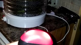 SALTON dehydrator review with EMF ELF gaussmeter, shows over 2 milligauss, IMO a health concern