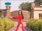 Hot Pakistani Girl Deedar Sexy hot mujra 2009  (6)