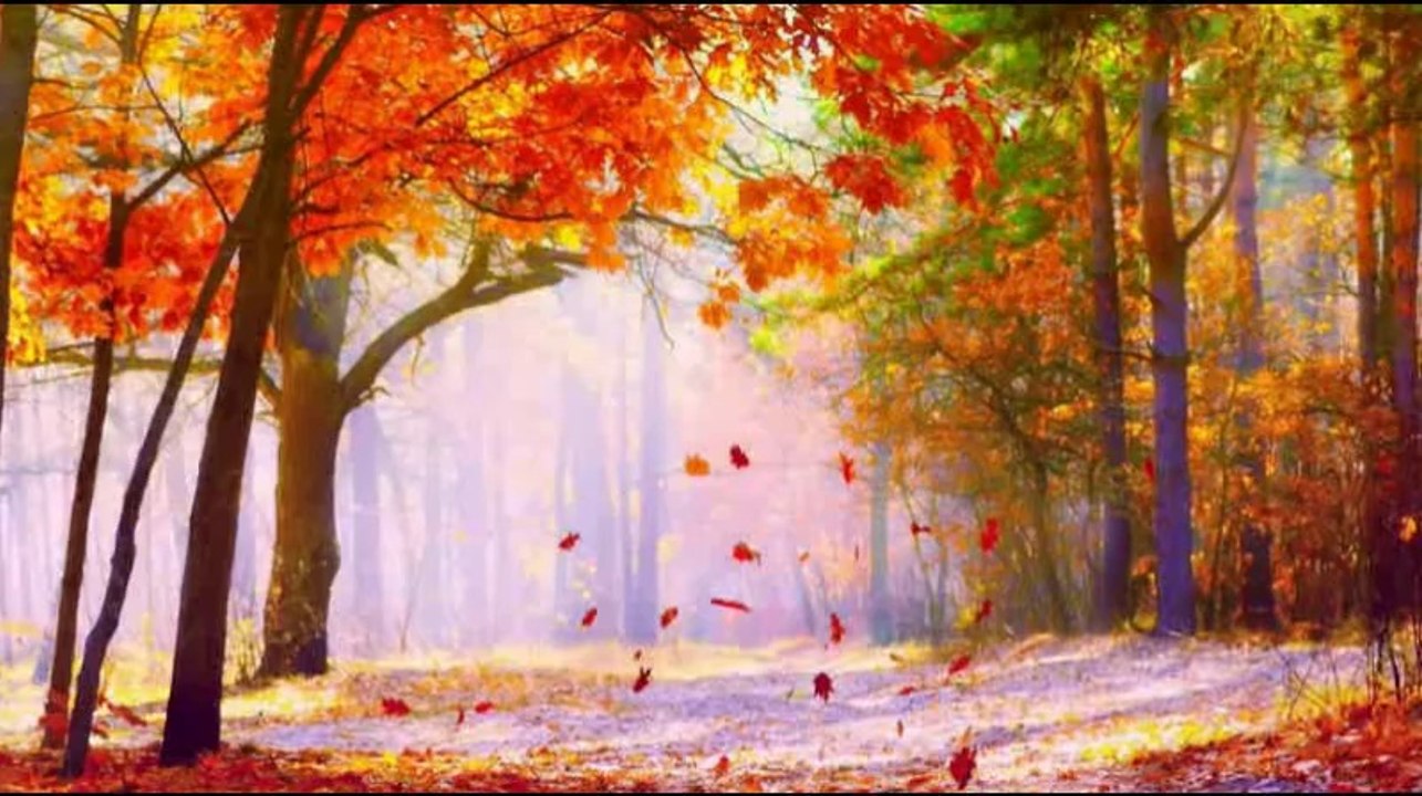 Cinema Paradiso - Ennio Morricone (Itzhak Perlman)