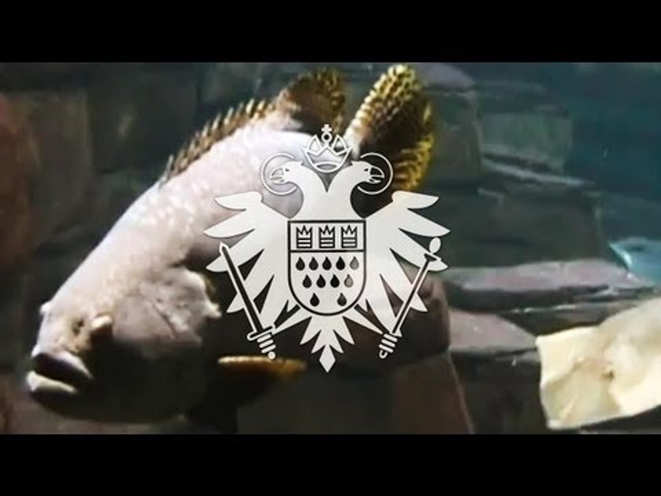 Justus Köhncke - Feuerland (Official Video) 'Safe and Sound' Album