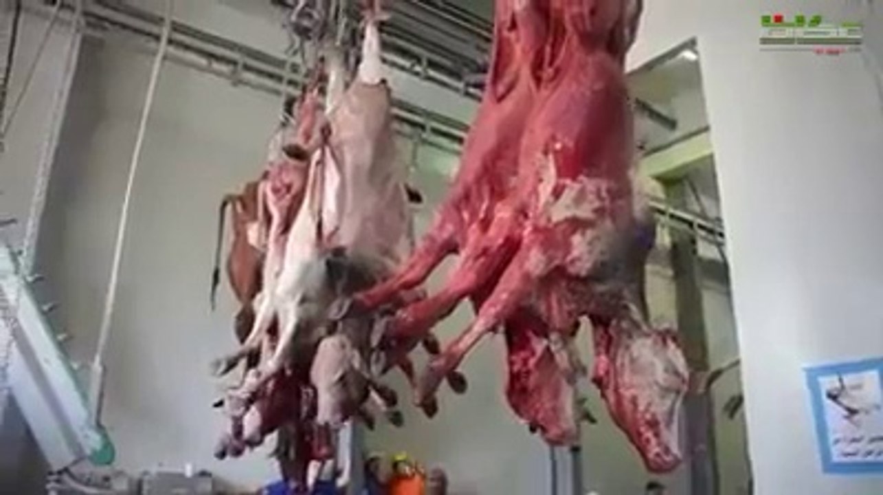 سنت ابراہیمی