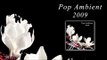 Klimek And Husak - The Godfather 'Pop Ambient 2009' Album