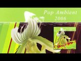 Mikkel Metal - Decline 'Pop Ambient 2006' Album