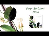 All - Sag Alles Ab 'Pop Ambient 2008' Album