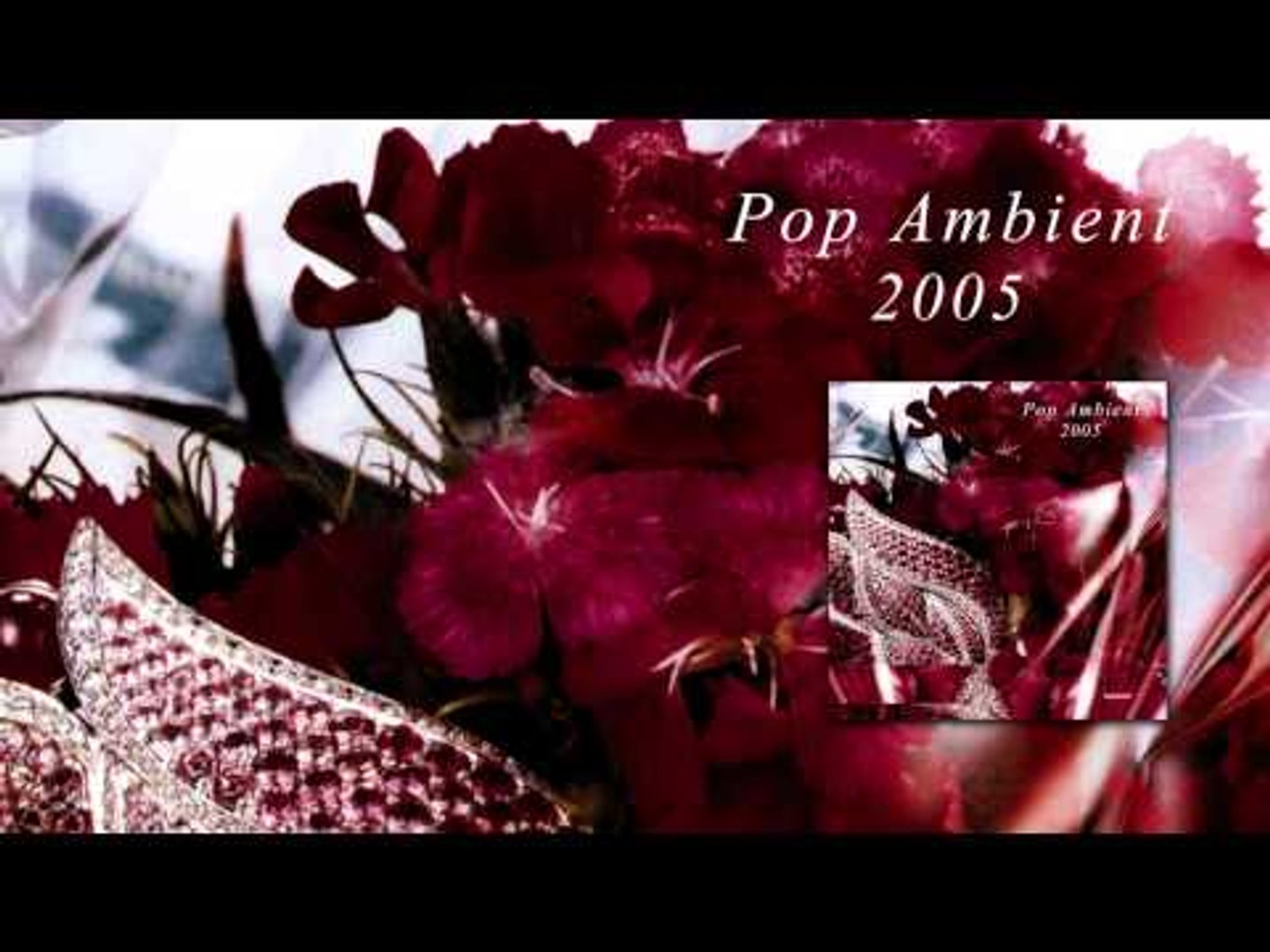 ⁣Gas - Pop 'Pop Ambient 2005' Album