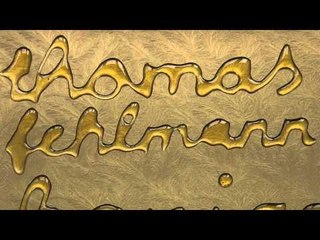 Thomas Fehlmann - Soziale Wärme 'Honigpumpe' Album