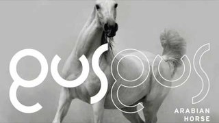 GusGus - Benched 'Arabian Horse' Album