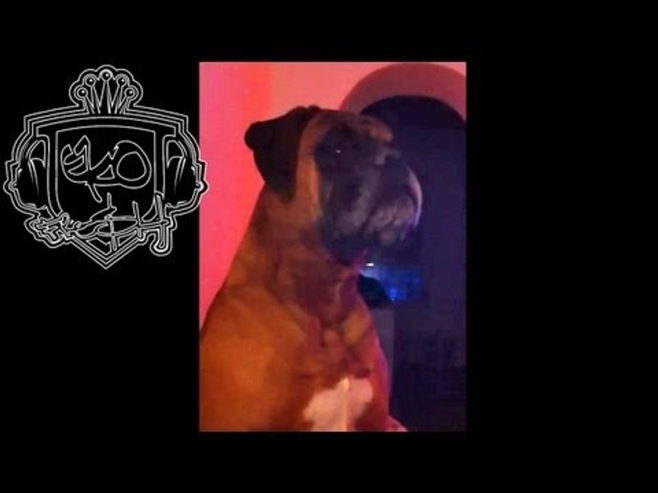 Woo Woo Woo (you know it Bro)