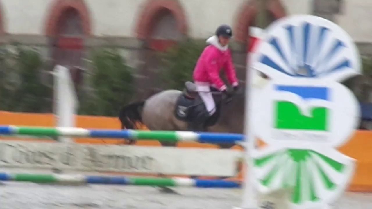 sea bell ballyoak, poney 2D, lamballe 12 / 10 / 2014
