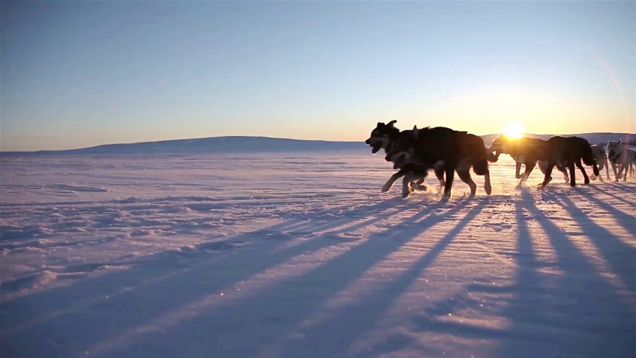 Royal Canin Marathon 5000 Spot promotionnel Jean Philippe Pontier