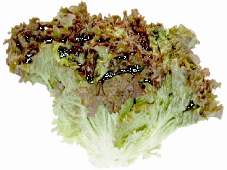 Imagiers - Legumes