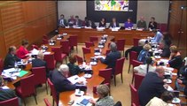 Intervention de Franck Riester en commission des Affaires culturelles le 14 octobre 2014