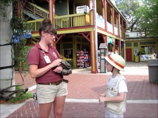 Guide to Visiting the Zoo 🦁