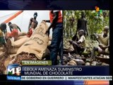 Ébola podría afectar la producción del chocolate a nivel mundial