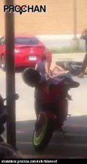 Motorcycle Burnout Gone Wrong