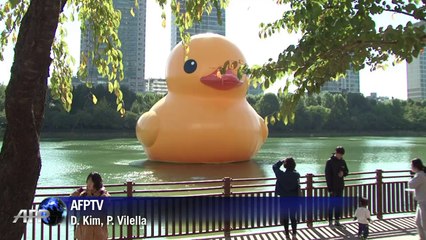 Pato de goma gigante llega a Seúl