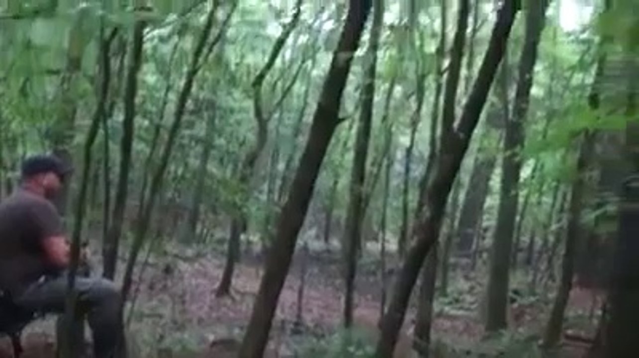Scary Coyote Howl