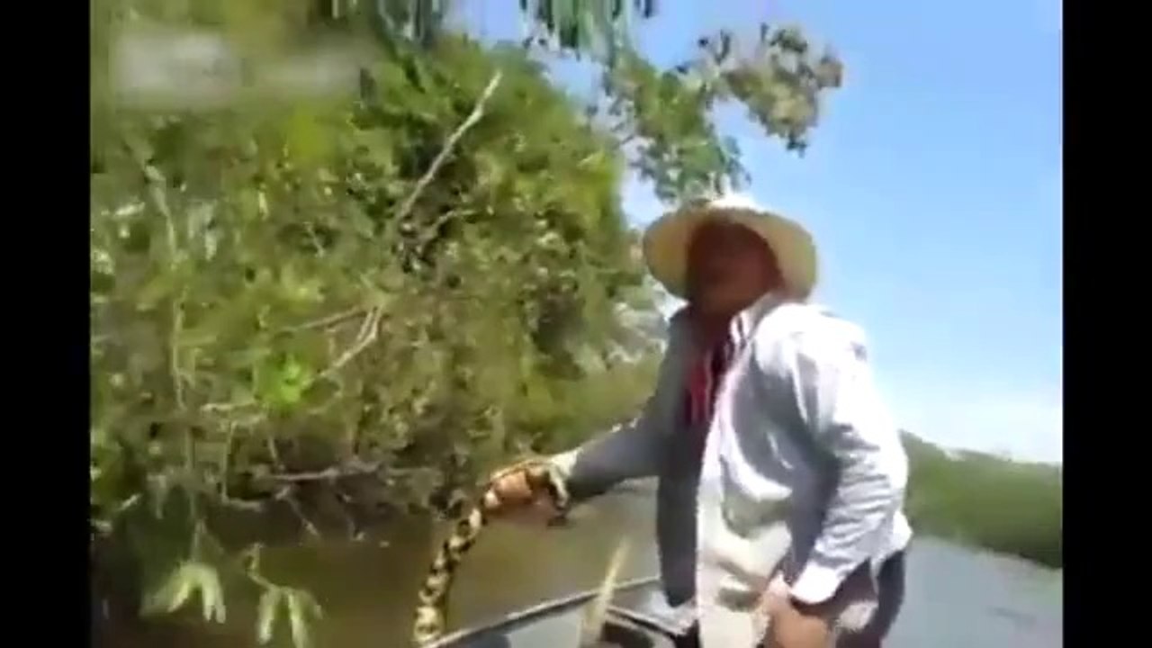 Stupid Guys In Boat Vs Huge Anaconda