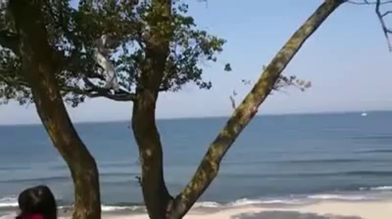 Swing Ride Gone Wrong