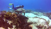 The Mayor of Cozumel goes diving