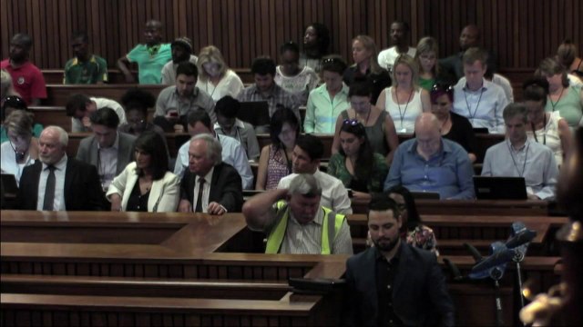 Defence witness claims Pistorius too vulnerable for prison