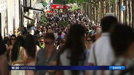 Ebola : le numéro vert a déjà reçu plus de 1 000 appels