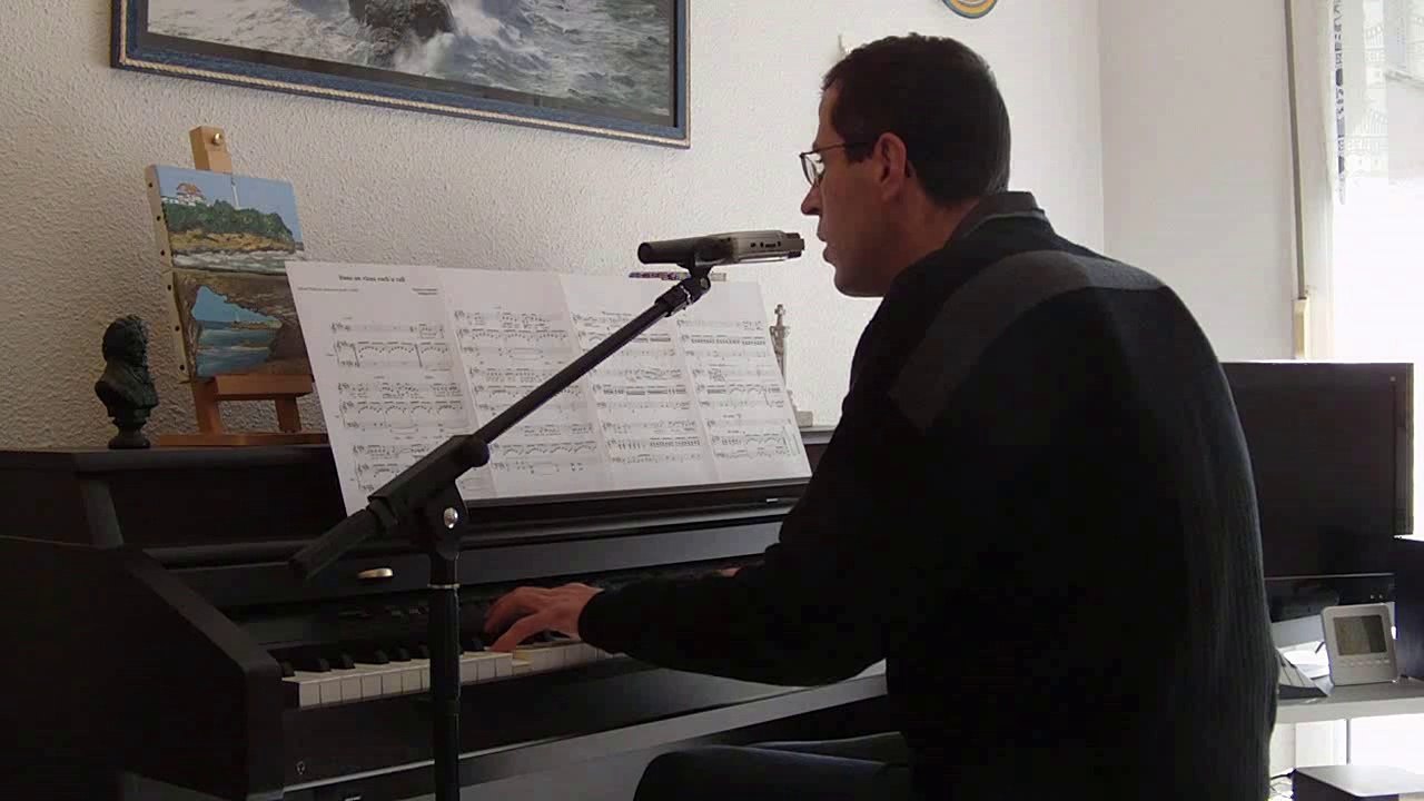 William Sheller-Dans un vieux Rock n' roll