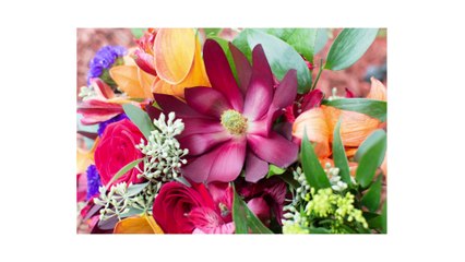 Chelse & Matt Wedding