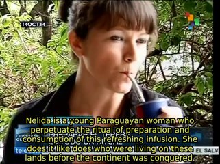 Tereré, Guarani beverage and Paraguayan cultural heritage