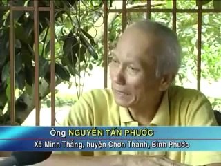 Mô hình nuôi chim cút đẻ trứng