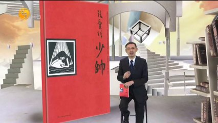 20141014 开卷八分钟 《少帅》