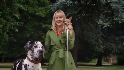 Miranda 1X06 "Dog" - Subtítulos en español