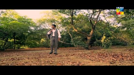 Bhool OST HUMTV Drama