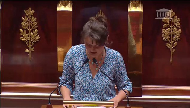 PROGRAMMATION DES FINANCES PUBLIQUES POUR LES ANNÉES 2014 À 2019 - PROJET DE LOI DE FINANCES POUR 2015 (Discussion générale commune) - Mardi 14 Octobre 2014