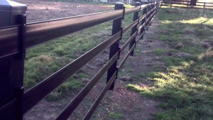 Post and Rail fencing with Zappa Rail at thinkfencing