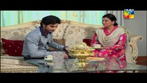 Ager Tum Na Hotay Episode 43 on Hum Tv in High Quality 14th October 2014 Full Drama