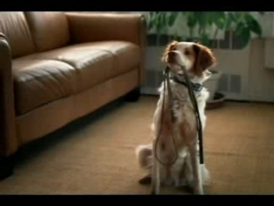 Funny commercial