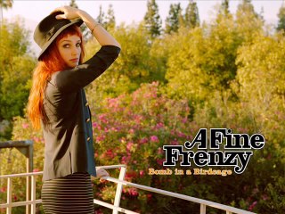 A Fine Frenzy - What I Wouldn't Do(1)