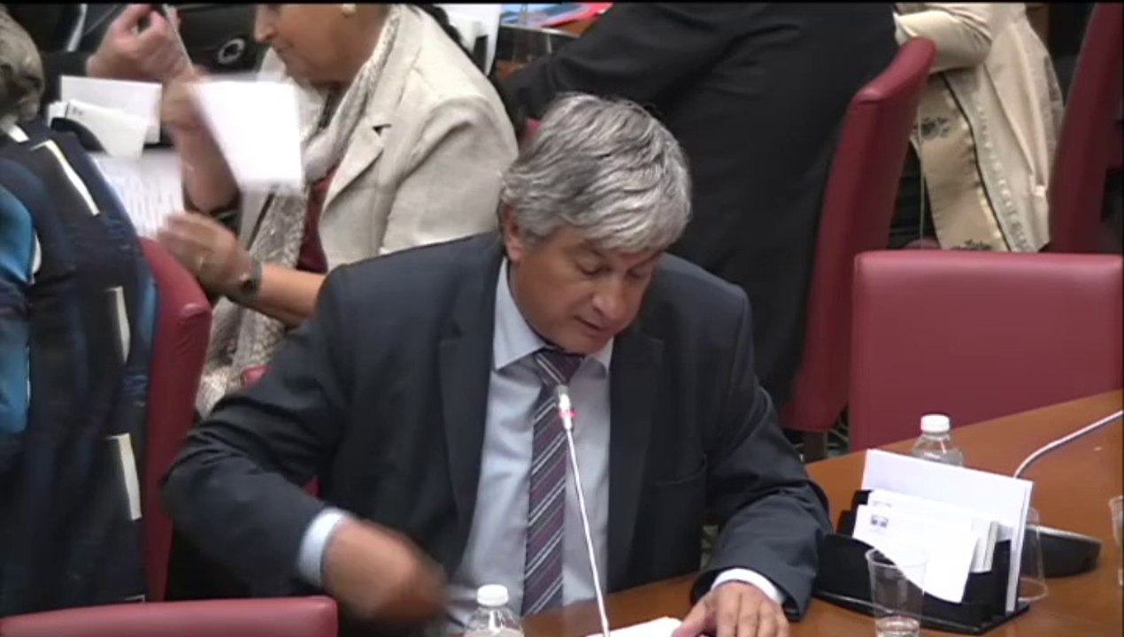 Intervention d'Hervé Féron en Commission des Affaires Culturelles et de l'Education : audition de Fleur Pellerin, Ministre de la Culture et de la Communication