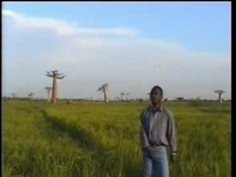 Taroba EJEMA