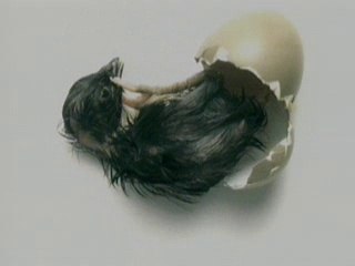 What is happening 75