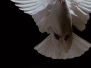 What is happening 77