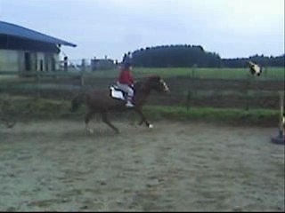 SUPER JOURNéE AVEC LADDY